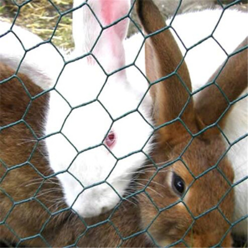 galvanized hexagonal wire mesh/Rabbit wire mesh