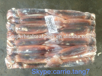 Chinese Illex Squid
