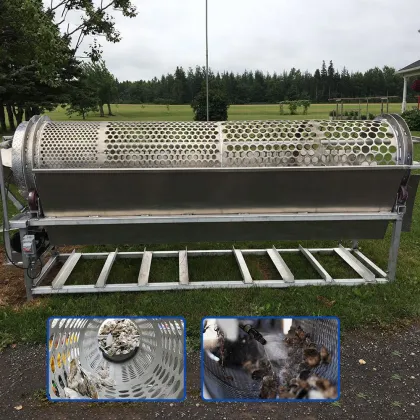 Commercial Aquaculture Adult Oysters Sorting Machine