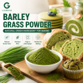 Polvo de hierba de cebada para fórmulas de superalimentos de nutrición verde