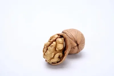 Walnut meats or walnuts Exporter