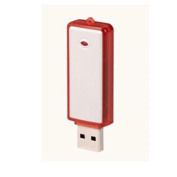 Euro Classic Plastic USB Flash disco