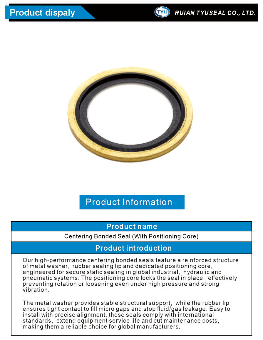 Positioning Core Seal