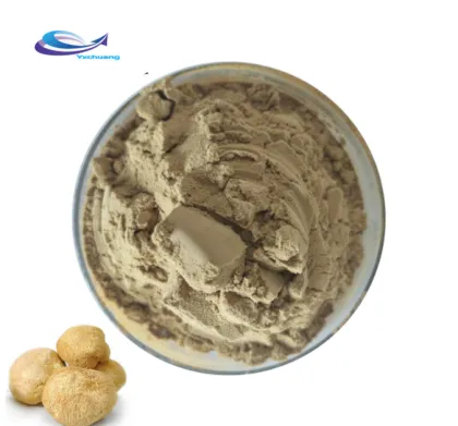 Supply Healthcare Products Dried Lion's Mane Mushroom Powder
