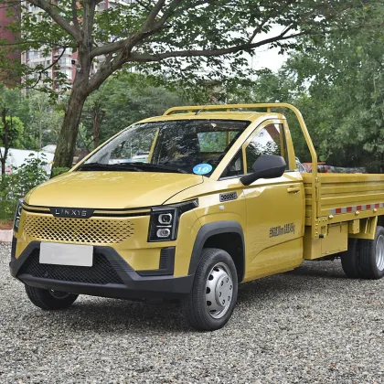 Lingshi Gold Card Pioneer Edition