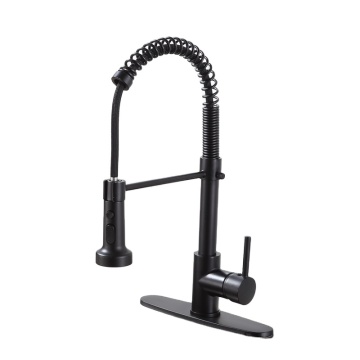 Matte Black Brass RV Kitchen Sink Faucet with Pull-Out Sprayer