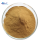 Urtica Dioica Extract Powder