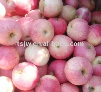 China huaguan apple early apple small apple 138-198