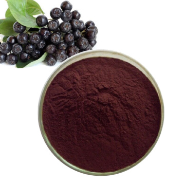 Anti-oxident Aronia Melanocarpa Extract Chokeberry