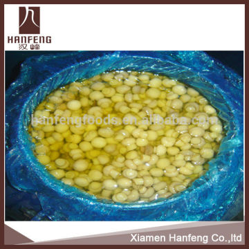 Professional supplier manufactures agaricus brazil mushroom in conserve in brine
