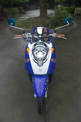 Gas Powered Motor Scooters Large Turtle 125