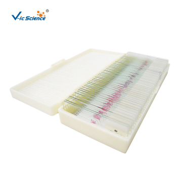 Microscope Glass Slides 50pcs Human Histology Slides Set