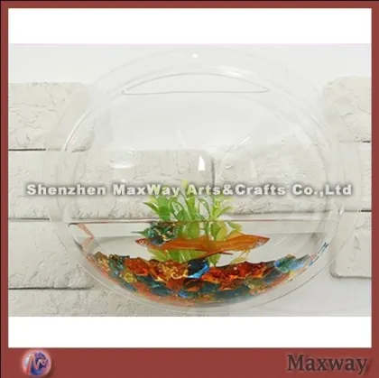 Clear Slatwall Fish Tank