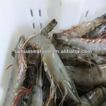 prawn and seafood cooking