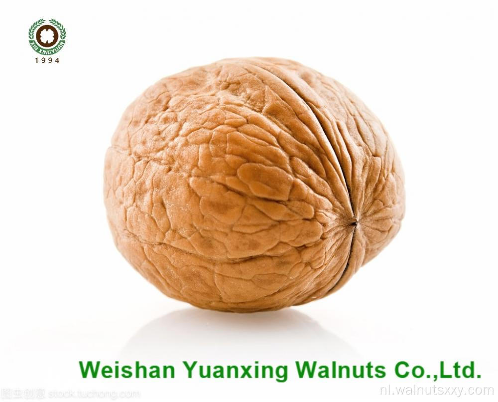 Walnut Kernels lichte stukken te koop