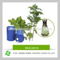 Produk terlaris natural Blumea Oil