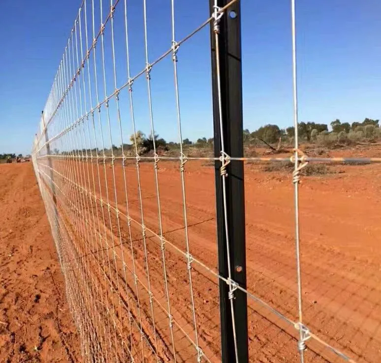 Cerca de pastizales y guardia agrícola valla de campo agrícola