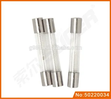 0.8A High Voltage Fuse for Microwave Oven