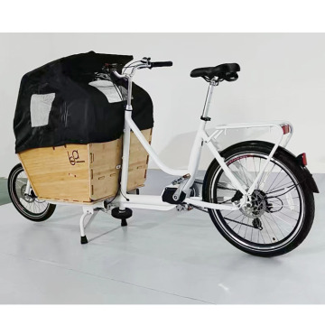 20-inch hoog volume Lishui elektrische fiets met lange laadcapaciteit: gezinsvriendelijk voorbelastingsmodel te koop