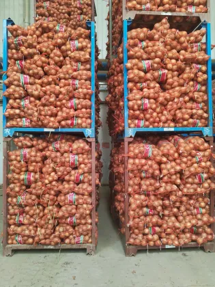 Farm Fresh Ecological Red Onion