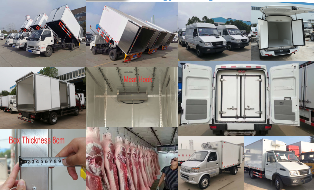 HOWO brand 3 axles heavy duty freezer truck