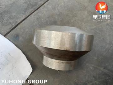 Componenti del vaso a pressione per ugello in acciaio inossidabile