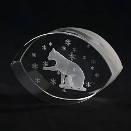 Laser Etched Photo Crystal Cubes