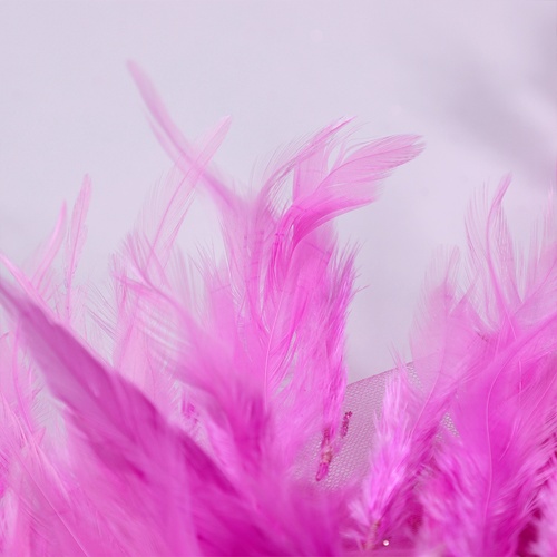 Baby Pink Feather Lưới Ren Váy cô dâu Ren