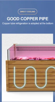 Smart Butcher Meat Shop Refrigerator