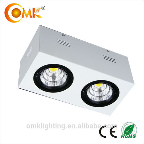 2*30W adjustable COB led surface mounted Downlight with CE&GSdriver