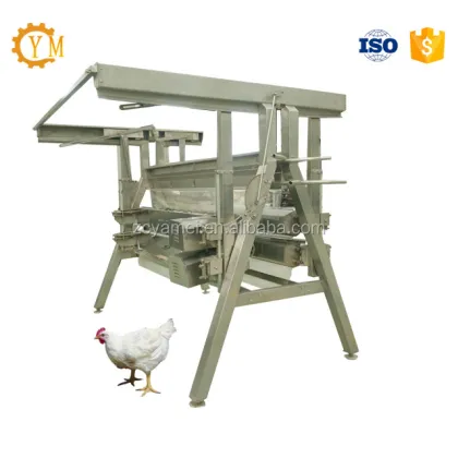 Goose Slaughterhouse Equipment and Processing Line