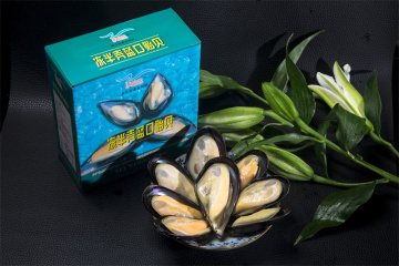 Gefrorene Meeresfrüchte gut gereinigt gekochte gekochte Muschelfleisch