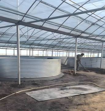 Greenhouse with External Shading for Fish Farming
