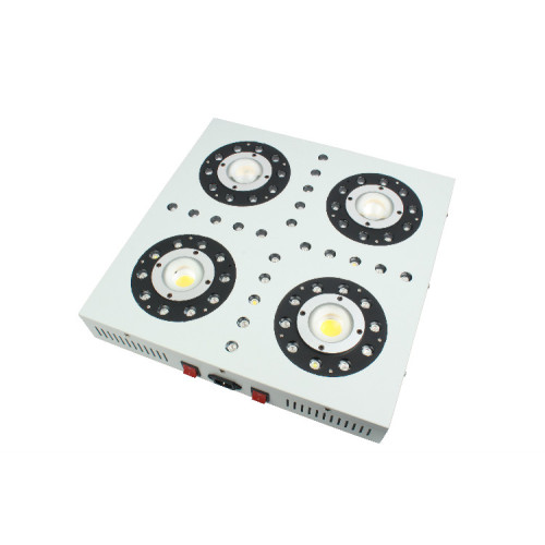 Mới đến 300/425 / 550W LED Grow Lights cho cây