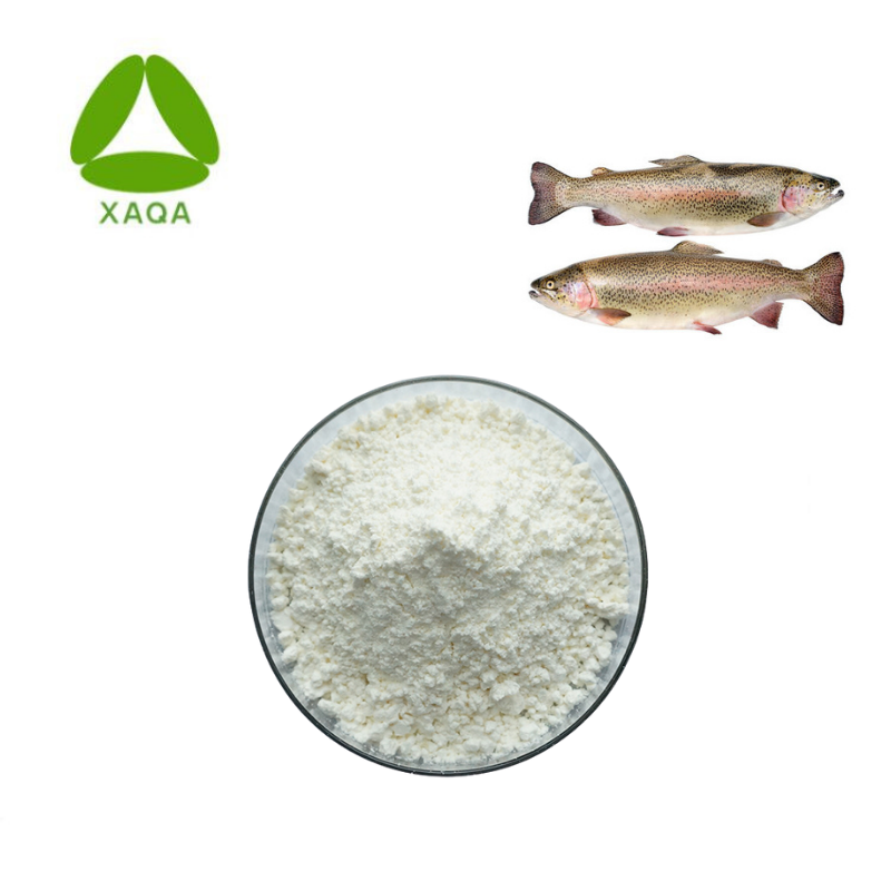 Poudre de protéine de collagène de peau de poisson de peptide hydrolysé de protéine