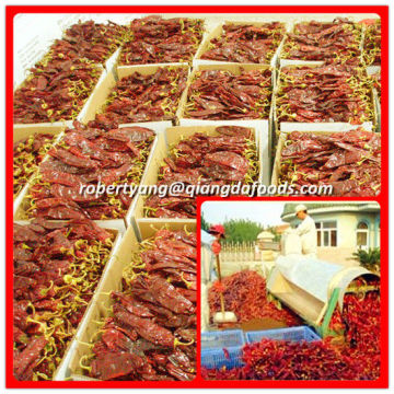 China Water Washed Paprika