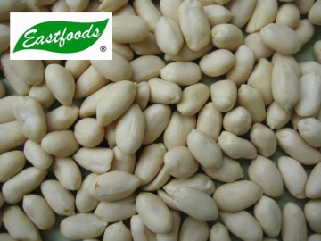 2013 crop Shandong Blanched peanut 25/29