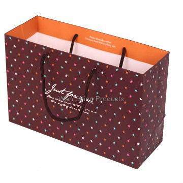 Matte Laminated Luxury Rope Handled Paper Bags