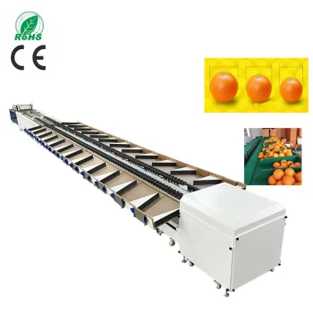 Fruit and Vegetable Grading Sorting Machine with Inspection Conveyor