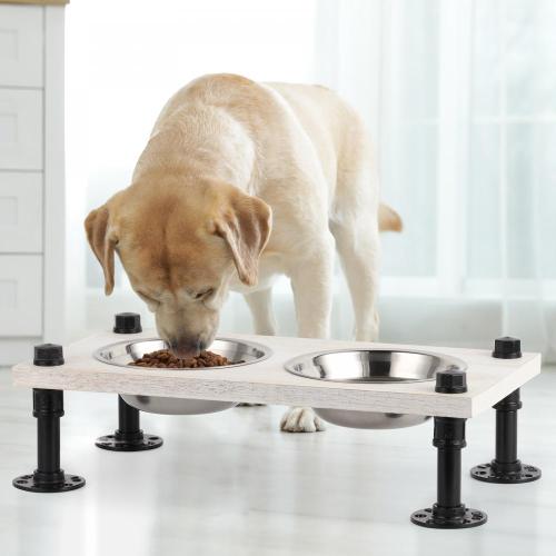 Elevated Dog Bowl Stand with Stainless Steel Bowls