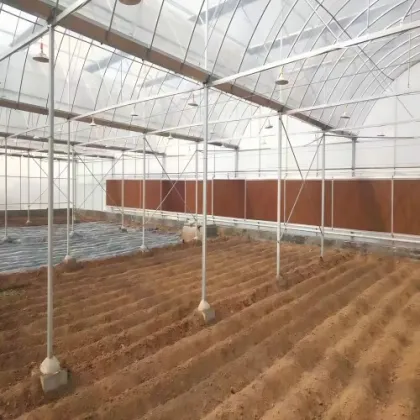 Agriculture Farm GreenHouse /Flower Hydroponics Greenhouse