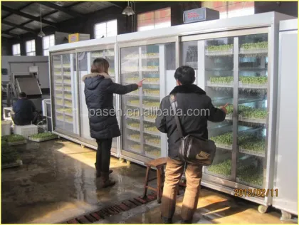 Automatic Barley Bean Sprout Machine
