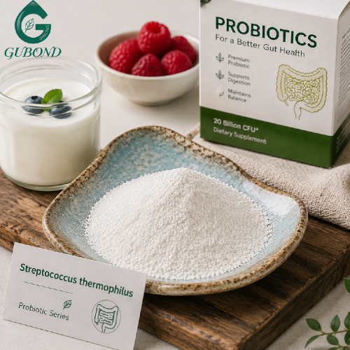 Polvo de Streptococcus Thermophilus de alta potencia