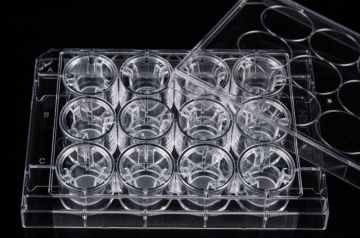 PC MemberAne Cell Culture Inserts สำหรับแผ่น 12 หลุม
