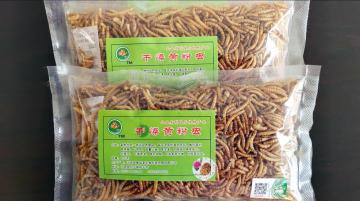 cheap birds food for sale