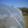 UV Treated Greenhouse Cover Film