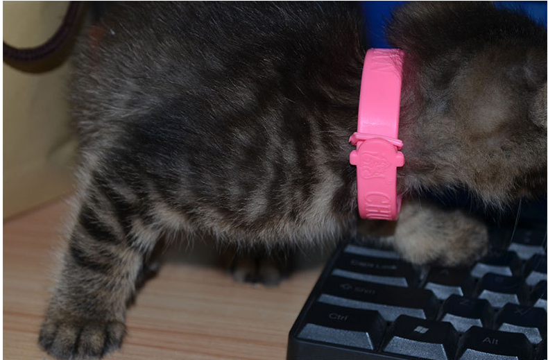 silicone anti-mosquiko pet collar silicone anti-mosquiko pet collar