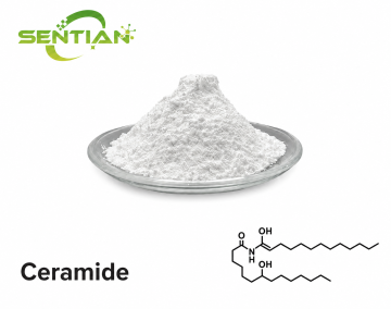 Premium Ceramide-Based Skin Lightening Treatment
