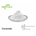 Premium Ceramide-Based Skin Lightening Treatment