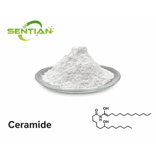 Premium Ceramide-Based Skin Lightening Treatment